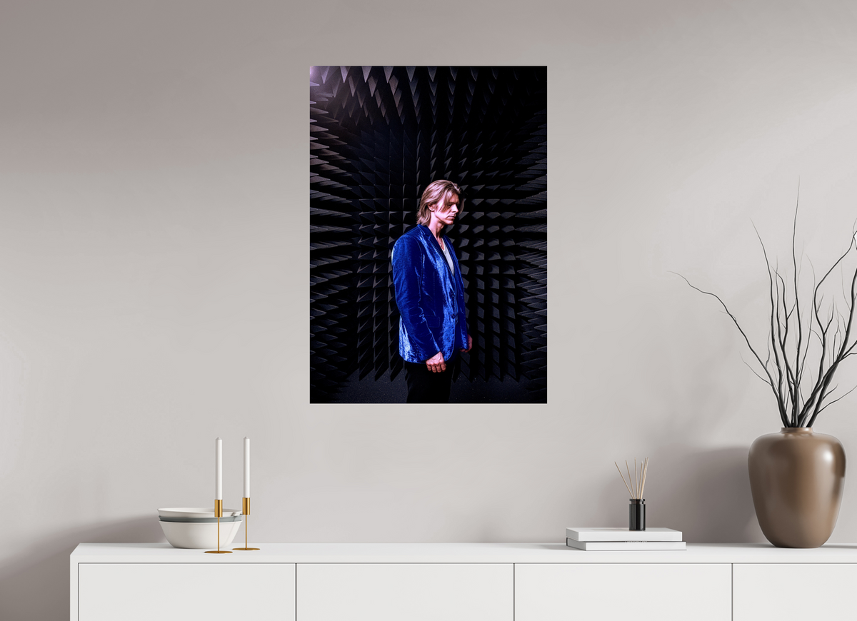 24 x 34.2″, WW ALUM David Bowie anechoic chamber