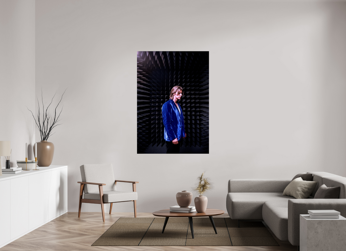 43 x 61.3″, WW ALUM David Bowie anechoic chamber