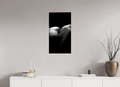 16 x 29.8″, Complete Roberto Rabanne, Lips, New York 2006