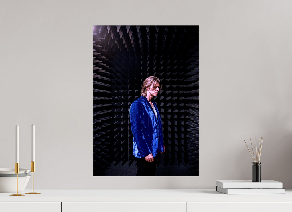 16 x 22.8″, WW ALUM David Bowie anechoic chamber