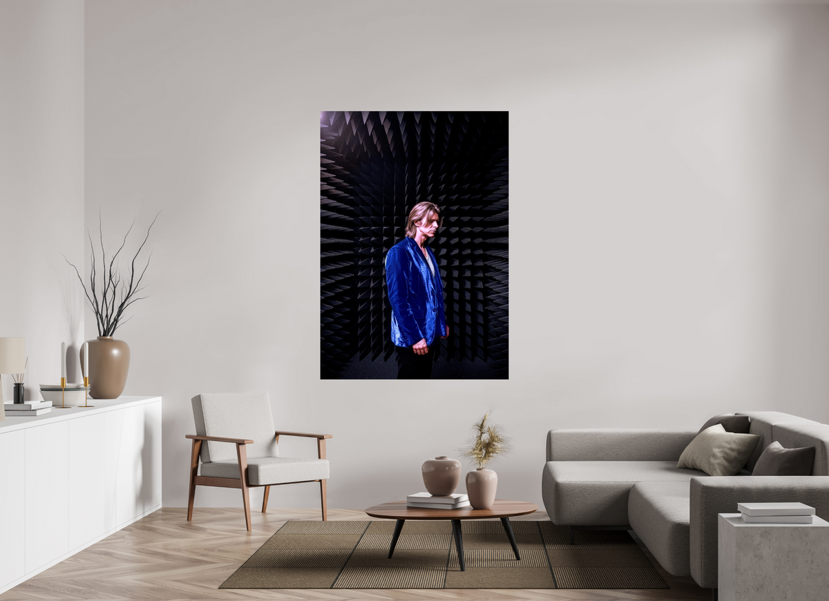 47 x 67″, WW ALUM David Bowie anechoic chamber