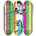 Skateboard Series